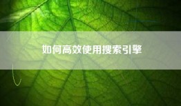如何高效使用搜索引擎