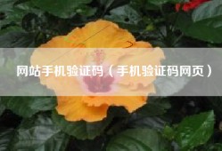 网站手机验证码（手机验证码网页）