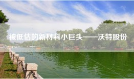被低估的新材料小巨头——沃特股份