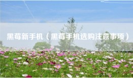 黑莓新手机（黑莓手机选购注意事项）