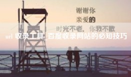 url 收录工具_百度收录网站的必知技巧
