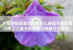 三星手机屏幕闪烁是什么原因手机屏幕闪烁「三星手机屏幕闪烁是什么原因」