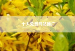 十大免费网站推广