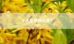 十大免费网站推广