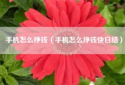 手机怎么挣钱（手机怎么挣钱快日结）