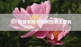 SEO 的搜索排名影响因素主要有
