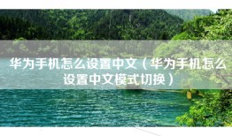 华为手机怎么设置中文（华为手机怎么设置中文模式切换）