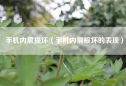 手机内屏损坏（手机内屏损坏的表现）