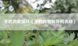 手机内屏损坏（手机内屏损坏的表现）