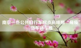 南京一些公共自行车网点高峰期“瘫痪” 借车还车难