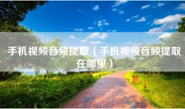 手机视频音频提取（手机视频音频提取在哪里）