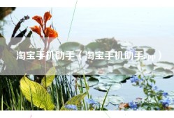 淘宝手机助手（淘宝手机助手app）