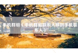 手机群组（手机群组联系人移到手机联系人）