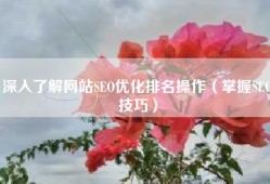 深入了解网站SEO优化排名操作（掌握SEO技巧）