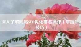 深入了解网站SEO优化排名操作（掌握SEO技巧）