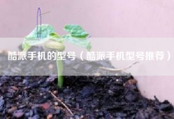 酷派手机的型号（酷派手机型号推荐）