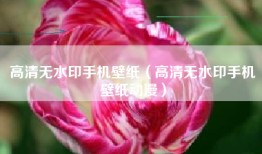 高清无水印手机壁纸（高清无水印手机壁纸动漫）