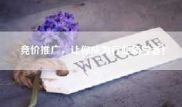 竞价推广，让你成为行业领导者！