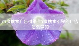 百度搜索广告引擎_百度搜索引擎的广告怎么做的