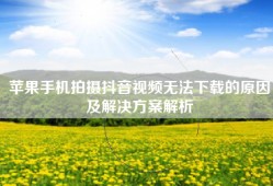 苹果手机拍摄抖音视频无法下载的原因及解决方案解析