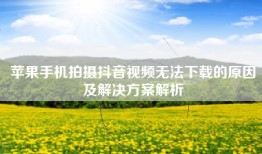 苹果手机拍摄抖音视频无法下载的原因及解决方案解析