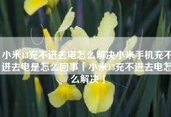 小米13充不进去电怎么解决小米手机充不进去电是怎么回事「小米13充不进去电怎么解决」