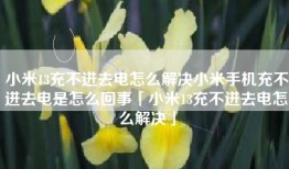 小米13充不进去电怎么解决小米手机充不进去电是怎么回事「小米13充不进去电怎么解决」