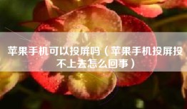 苹果手机可以投屏吗（苹果手机投屏投不上去怎么回事）