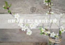 投影 手机（怎么电视投影手机）