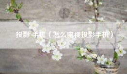投影 手机（怎么电视投影手机）