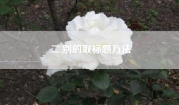 二.别的取标题方法