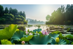 揭秘半价豪车市场，哪些车型最受消费者追捧？