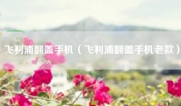 飞利浦翻盖手机（飞利浦翻盖手机老款）
