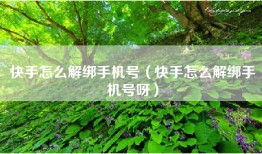 快手怎么解绑手机号（快手怎么解绑手机号呀）