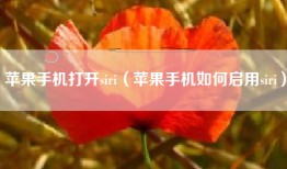 苹果手机打开siri（苹果手机如何启用siri）