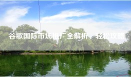 谷歌国际市场推广全解析，轻松攻略