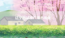 辽宁网站推广排名优化