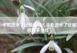手机进水了还能修吗（手机进水了还能修吗多少钱）