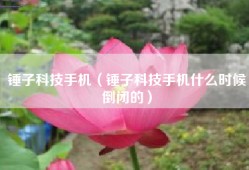 锤子科技手机（锤子科技手机什么时候倒闭的）