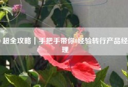 超全攻略｜手把手带你0经验转行产品经理