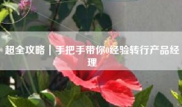 超全攻略｜手把手带你0经验转行产品经理