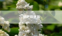 贴吧极速版