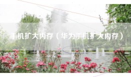 手机扩大内存（华为手机扩大内存）
