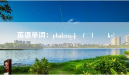 英语单词：phalanx [ˈfælæŋks]