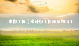米椒手机（米辣椒手机质量如何）