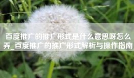 百度推广的推广形式是什么意思呀怎么弄_百度推广的推广形式解析与操作指南