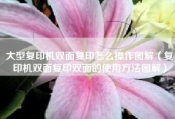 大型复印机双面复印怎么操作图解（复印机双面复印双面的使用方法图解）