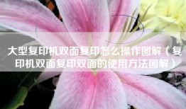 大型复印机双面复印怎么操作图解（复印机双面复印双面的使用方法图解）