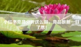 小红书竞品分析这么做，竞品数据一目了然！