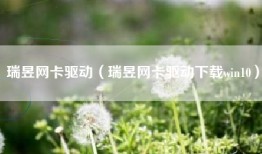 瑞昱网卡驱动（瑞昱网卡驱动下载win10）